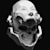 Art Canthrope