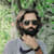 Naeem Aslam