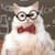 sophistrycat