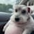 Gleb