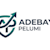 Adebayo pelumi