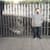 Nayem