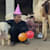 WishBoom