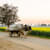 Gursamar Singh