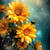 Naveed
