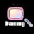 Dammy