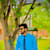 Shahzaib Munir