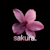 Sakura Agency