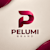 Pelumi B