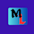 Merhint Expert