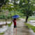 Harsha Lakmal