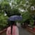 SHIFA.K