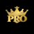 Website P