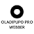 Oladipupo P