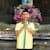 Dika