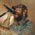 Post Malone