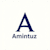 Amintuz