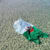 abdel