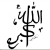 Pro Calligraphy
