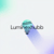 Luminexhubb H