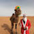Happy camel 