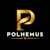 Polhemus R