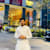 Suleman S