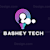 Bashey T