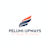 Pelumi Upways