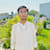 Umairarif