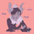 Yvoit X