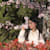 zhizhi