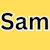Samt