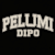 Pelumi D