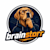 brainstorr