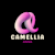 Camellia A