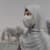Ruhma Nazeer