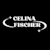 Celina F