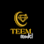 TEEM MODEL