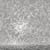 MOlar