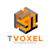 Tvoxel