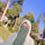 Hafiza Mubarrah