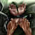 Oluwa T