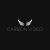 Carbonvideo