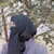 Ayesha 