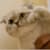 Yegor