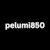 Pelumi O