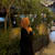 Aqsa F