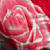 Mohammed Aslam