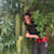 Jayden T